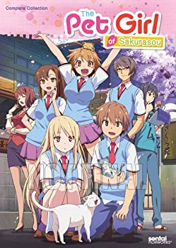 日本最大級 Pet Girl Of Sakurasou Complete Collection Dvd 楽天市場 Uploader Proofsys Io 日本最大級 Pet Girl Of Sakurasou Complete Collection Dvd 楽天市場 Uploader Proofsys Io