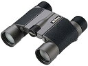 【中古】Nikon 双眼鏡 HG Lシリーズ 10×25HG L DCF ダハプリズム式 10倍25口径 10X25HGL (日本製)
