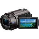 【中古】(非常に良い)ソニー SONY ビデオカメラ FDR-AX40 4K 64GB 光学20倍 ブロンズブラウン Handycam FDR-AX40 TIC(2)