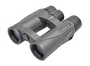 【中古】(非常に良い)SIGHTRON 双眼鏡 ダハプリズム 8倍32mm口径 完全防水 フルマルチコート メガネ対応 酔いにくい 暗くならない ドーム 防水 ...