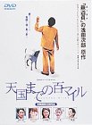 【中古】(未使用・未開封品)天国までの百マイル [DVD]【メーカー名】日活【メーカー型番】【ブランド名】日活株式会社【商品説明】天国までの百マイル [DVD]時任三郎未使用・未開封ですが弊社で一般の方から買取しました中古品です。一点物で売り切れ終了です。当店では初期不良に限り、商品到着から7日間は返品を 受付けております。お問い合わせ・メールにて不具合詳細をご連絡ください。【重要】商品によって返品先倉庫が異なります。返送先ご連絡まで必ずお待ちください。連絡を待たず会社住所等へ送られた場合は返送費用ご負担となります。予めご了承ください。他モールとの併売品の為、完売の際はキャンセルご連絡させて頂きます。中古品の商品タイトルに「限定」「初回」「保証」「DLコード」などの表記がありましても、特典・付属品・帯・保証等は付いておりません。電子辞書、コンパクトオーディオプレーヤー等のイヤホンは写真にありましても衛生上、基本お付けしておりません。※未使用品は除く品名に【import】【輸入】【北米】【海外】等の国内商品でないと把握できる表記商品について国内のDVDプレイヤー、ゲーム機で稼働しない場合がございます。予めご了承の上、購入ください。掲載と付属品が異なる場合は確認のご連絡をさせて頂きます。ご注文からお届けまで1、ご注文⇒ご注文は24時間受け付けております。2、注文確認⇒ご注文後、当店から注文確認メールを送信します。3、お届けまで3〜10営業日程度とお考えください。4、入金確認⇒前払い決済をご選択の場合、ご入金確認後、配送手配を致します。5、出荷⇒配送準備が整い次第、出荷致します。配送業者、追跡番号等の詳細をメール送信致します。6、到着⇒出荷後、1〜3日後に商品が到着します。　※離島、北海道、九州、沖縄は遅れる場合がございます。予めご了承下さい。お電話でのお問合せは少人数で運営の為受け付けておりませんので、お問い合わせ・メールにてお願い致します。営業時間　月〜金　11:00〜17:00★お客様都合によるご注文後のキャンセル・返品はお受けしておりませんのでご了承ください。ご来店ありがとうございます。当店では良品中古を多数揃えております。お電話でのお問合せは少人数で運営の為受け付けておりませんので、お問い合わせ・メールにてお願い致します。