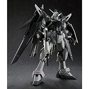 【中古】RG 1/144 ZGMF-X42S デスティニーガンダム ディアクティブモード プラモデル （プレミアムバンダイ限定）