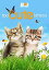 š(ɤ)Too Cute Kittens [DVD] [Import]