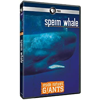 【中古】Inside Nature's Giants: Sperm Whale [DVD] [Import]