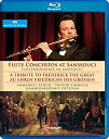 yÁz(ɗǂ)Flute Concertos at Sanssouci [Blu-ray] [Import]