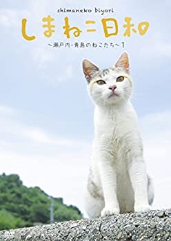 【中古】(非常に良い)テレビ愛媛45周年記念 しまねこ日和 ~瀬戸内・青島のねこたち~ 2 [DVD]