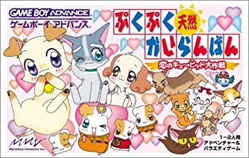 【中古】(非常に良い)ぷくぷく天然かいらんばん ~恋のキューピッド大作戦~