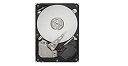 【中古】Seagate 3.5インチ内蔵HDD 250GB 