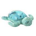 【中古】Cloud B クラウドビー アクアタートル タート...
