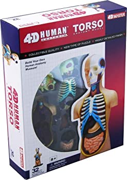 【中古】(非常に良い)4D Vision Human Anatomy Torso Model [並行輸入品]