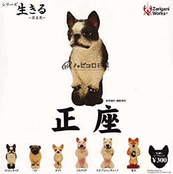 【中古】カプセル シリーズ生きる 第五夜 正座 ノーマル6種セット