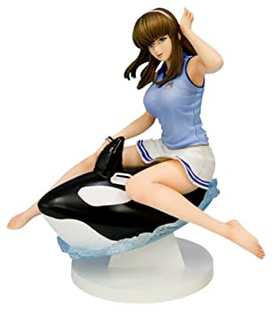 【中古】コトブキヤ DOAX2 Venus on the beach! ヒトミ 1/6スケールPVC塗装済み完成品