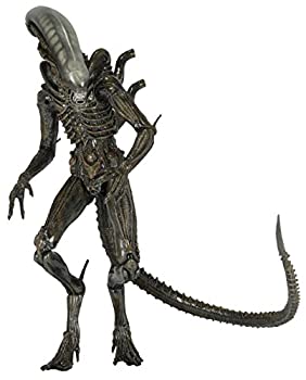 人気ショップが最安値挑戦 ネカ エイリアン 7インチアクションフィギュア シリーズ6 エイリアン アイソレーション ゼノモーフ Neca Alien Isolation Xenomorph 並行輸入 55 以上節約 Rivendell Namibia Com 人気ショップが最安値挑戦 ネカ エイリアン 7インチアクションフィギュア シリーズ6 エイリアン アイソレーション ゼノモーフ Neca Alien Isolation Xenomorph 並行輸入 55 以上節約 Rivendell Namibia Com