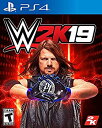 【中古】(未使用 未開封品)WWE 2K19 (輸入版:北米) - PS4