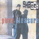 【中古】Pure Pleasure［カセット］