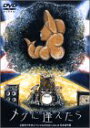 【中古】(未使用 未開封品)天野月子 年末スペシャル2002「メグに逢えたら」 DVD