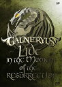 【中古】(非常に良い)3rd LIVE DVD LIVE IN THE MOMENT OF THE RESURRECTION [DVD] GALNERYUS