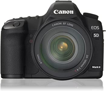【中古】(非常に良い)Canon デジタル一眼レフカメラ EOS 5D MarkII EF24-105L IS U レンズキット