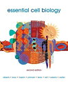 【中古】Essential Cell Biology