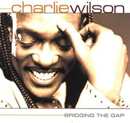 【中古】Bridging the Gap [CD]