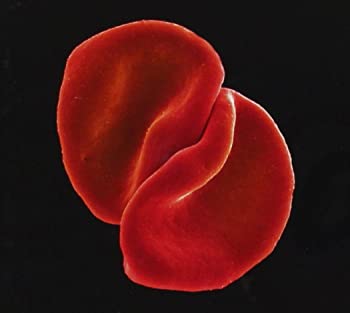 【中古】スクラッチ・マイ・バック [CD]