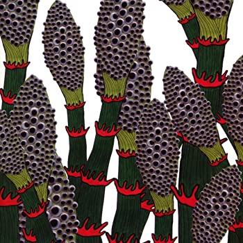 (未使用・未開封品)IV  Part Chimp