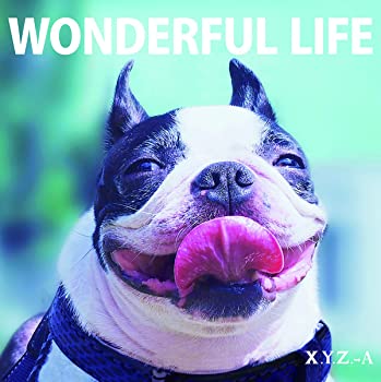 šWONDERFUL LIFE() [CD]