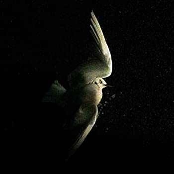 【中古】(非常に良い)死刑執行人の恋人 [CD]