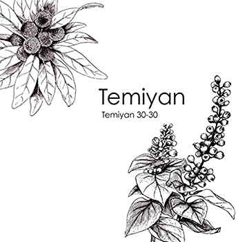 【中古】(非常に良い)TEMIYAN 30-30 [CD]