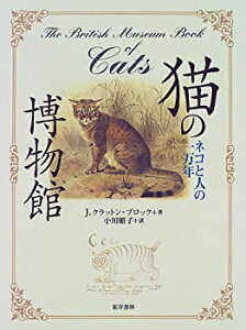 【中古】猫の博物館—ネコと人の一万年