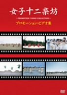 【中古】(非常に良い)女子十二楽坊~プロモーション・ビデオ集~ [DVD]