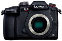 【中古】(非常に良い)パナソニック ミラーレス一眼カメラ ルミックス GH5S ボディ ブラック DC-GH5S-K