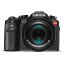 š(ɤ)LEICA V LUX TYP 114 VERSION ǥ륫 TK BLACK