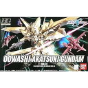 【中古】(未使用・未開封品)HG 機動戦士ガンダムSEED DESTINY オオワシアカツキガンダム 1/144スケール 色分け済みプラモデル