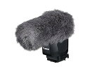 【中古】(非常に良い)Canon ステレオマイク DME1D