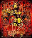 【中古】(非常に良い)VAMPS LIVE 2015 BLOODSUCKERS (通常盤Blu-ray) VAMPS(2)