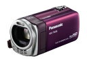 【中古】(非常に良い)パナソニック デジタルハイビジョンビデオカメラ バイオレット HDC-TM35-V(2)