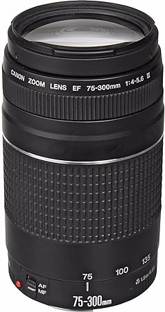 【中古】キャノンEF 75-300mm f/4-5.6 III 望遠ズームレンズ 【中古】キャノンEF 75-300mm f/4-5.6 III 望遠ズームレンズ
