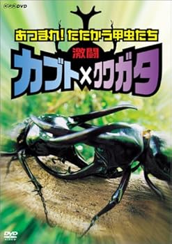 【中古】(未使用・未開封品)激闘 カブト×クワガタ ~あつまれ!たたかう甲虫たち~ [DVD] 趣味