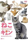 【中古】(未使用・未開封品)シンフォレストDVD ねこキュン 癒しのにゃんこシアター We Love Cat
