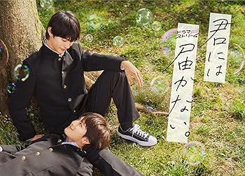 【中古】(非常に良い)君には届かない。 DVD-BOX [DVD] 前田拳太郎; 柏木悠; 田中偉登; 松本怜生; 百瀬拓実;