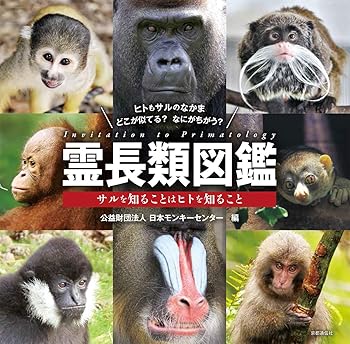 楽天市場】猿人の指導霊の通販 楽天市場】猿人の指導霊の通販