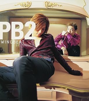 【中古】(非常に良い)WINGBEAT pool bit boys [CD]