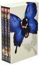 【中古】(未使用・未開封品)ファンタズマ ~呪いの館~ DVD-BOX 伊藤裕子