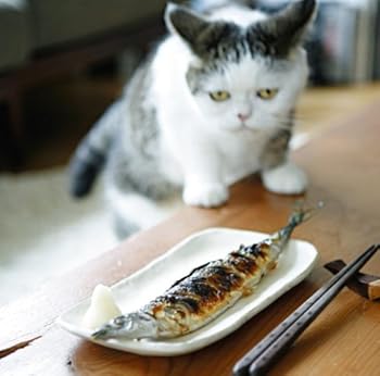 【中古】(未使用・未開封品)三枚おろし [CD] 音速ライン【メーカー名】NAYUTAWAVE RECORDS【メーカー型番】【ブランド名】ユニバーサル【商品説明】三枚おろし [CD] 音速ライン未使用・未開封ですが弊社で一般の方から買取しました中古品です。一点物で売り切れ終了です。当店では初期不良に限り、商品到着から7日間は返品を 受付けております。お問い合わせ・メールにて不具合詳細をご連絡ください。【重要】商品によって返品先倉庫が異なります。返送先ご連絡まで必ずお待ちください。連絡を待たず会社住所等へ送られた場合は返送費用ご負担となります。予めご了承ください。他モールとの併売品の為、完売の際はキャンセルご連絡させて頂きます。中古品の画像および商品タイトルに「限定」「初回」「保証」「DLコード」などの表記がありましても、特典・付属品・帯・保証等は付いておりません。電子辞書、コンパクトオーディオプレーヤー等のイヤホンは写真にありましても衛生上、基本お付けしておりません。※未使用品は除く品名に【import】【輸入】【北米】【海外】等の国内商品でないと把握できる表記商品について国内のDVDプレイヤー、ゲーム機で稼働しない場合がございます。予めご了承の上、購入ください。掲載と付属品が異なる場合は確認のご連絡をさせて頂きます。ご注文からお届けまで1、ご注文⇒ご注文は24時間受け付けております。2、注文確認⇒ご注文後、当店から注文確認メールを送信します。3、お届けまで3〜10営業日程度とお考えください。4、入金確認⇒前払い決済をご選択の場合、ご入金確認後、配送手配を致します。5、出荷⇒配送準備が整い次第、出荷致します。配送業者、追跡番号等の詳細をメール送信致します。6、到着⇒出荷後、1〜3日後に商品が到着します。　※離島、北海道、九州、沖縄は遅れる場合がございます。予めご了承下さい。お電話でのお問合せは少人数で運営の為受け付けておりませんので、お問い合わせ・メールにてお願い致します。営業時間　月〜金　11:00〜17:00★お客様都合によるご注文後のキャンセル・返品はお受けしておりませんのでご了承ください。ご来店ありがとうございます。当店では良品中古を多数揃えております。お電話でのお問合せは少人数で運営の為受け付けておりませんので、お問い合わせ・メールにてお願い致します。