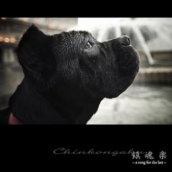 【中古】(未使用・未開封品)鎮魂楽~a song for the last~ [CD] インストゥルメンタル
