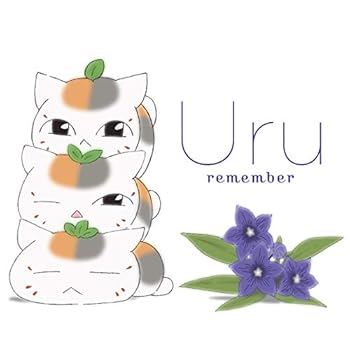 š(̤ѡ̤)remember()(Blu-ray Disc) [audioCD] Uru