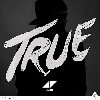 (未使用・未開封品)TRUE  AVICII
