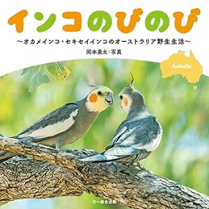 【中古】インコのびのびーオカメインコ・セキセイインコのオーストラリア野生生活 /岡本 勇太 (文一総合出版) 単行本