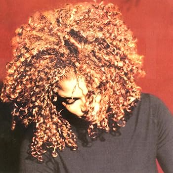【中古】Velvet Rope -Ltd/Hq- Analog LP Record Jackson, Janet